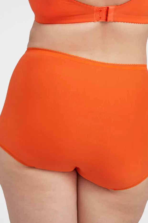 Discount Lovely Lace panty - A good and stable fit that is perfect for everyday wear - Slips